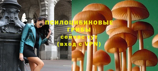 спайс Сатка